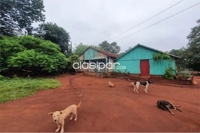 Campo en Venta de 160,8 Hectáreas! Producción Agrícola, Bosque y Renta Inmediata, foto 3