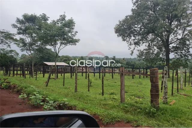 Campo en Venta de 160,8 Hectáreas! Producción Agrícola, Bosque y Renta Inmediata, foto 4