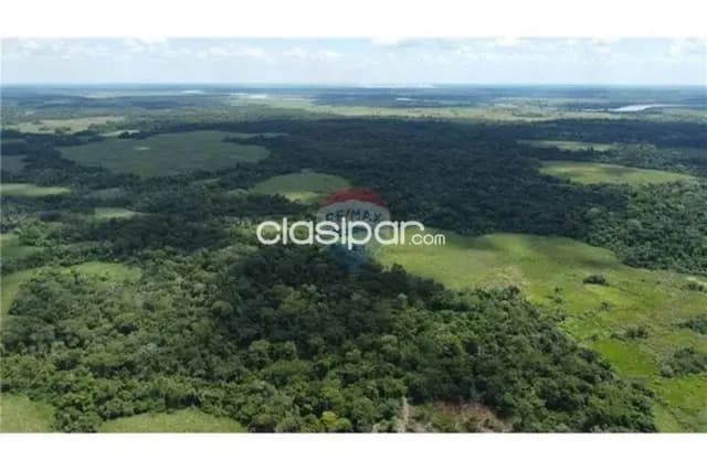 Campo en Venta de 399 Hectáreas en San Pedro del Ycuamandyyú, foto 4