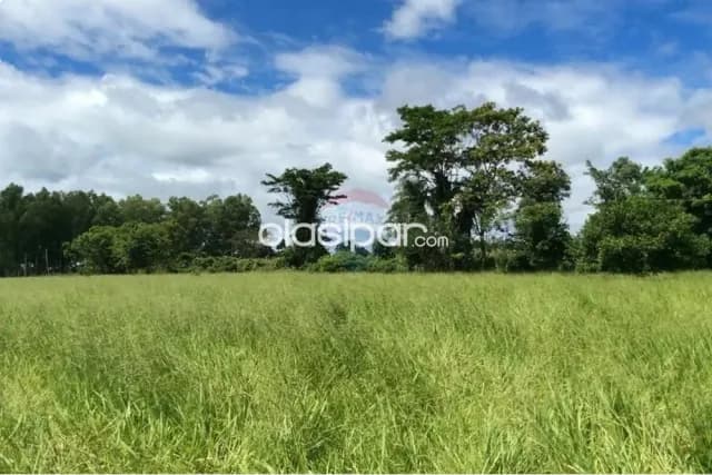 Campo en Venta de 399 Hectáreas en San Pedro del Ycuamandyyú, foto 5