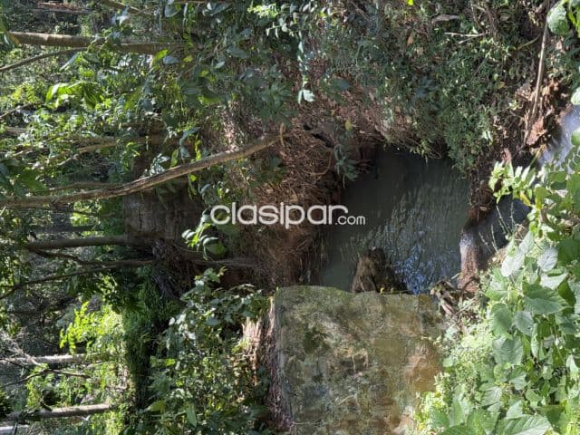 En venta 6,7 hectareas en sanber, foto 1