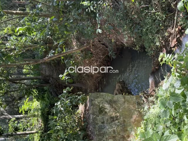 En venta 6,7 hectareas en sanber, foto 2
