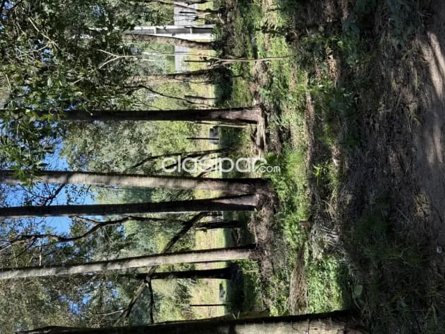 En venta 6,7 hectareas en sanber, foto 4