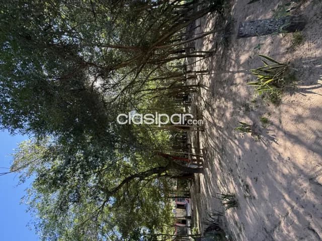 En venta 6,7 hectareas en sanber, foto 5