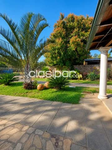 Casa en Limpio | 1.440 m² | 4 Terrenos | Zona Céntrica, foto 4