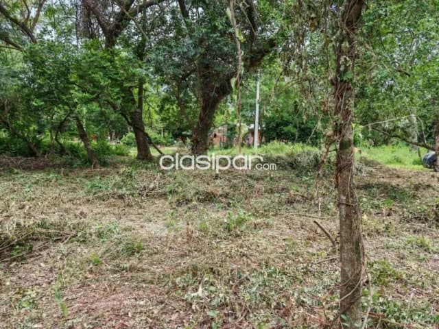 De dos terrenos juntos – San Bernardino, foto 4