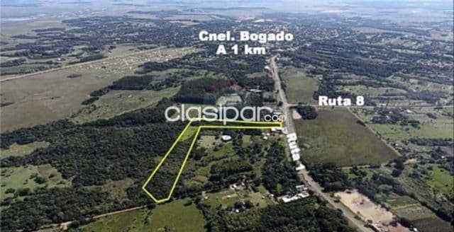 🏡 en venta – 4 hectáreas sobre ruta py01 en coronel bogado, itapúa, foto 1