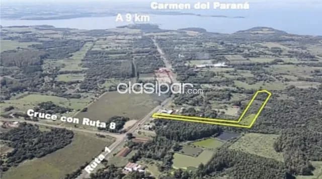 🏡 en venta – 4 hectáreas sobre ruta py01 en coronel bogado, itapúa, foto 3