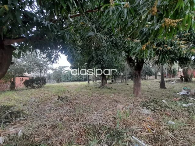 Terreno de 4.569 m2 en Mariano Roque Alonso!!, foto 4