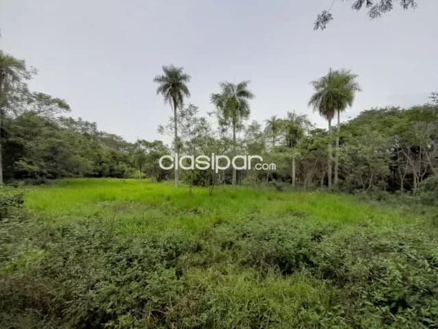 17.000 m2 en caacupé sobre ruta!!, foto 4