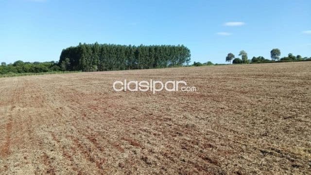 Propiedad 8 hectareas agricola mecanizada