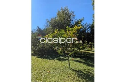 Terreno en Venta en Central Capiata Aldana Cañada calle sin nombre casi Av. Las Piedras, foto 3