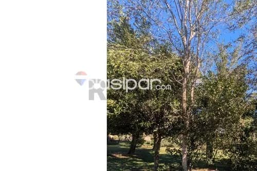 Terreno en Venta en Central Capiata Aldana Cañada calle sin nombre casi Av. Las Piedras, foto 5