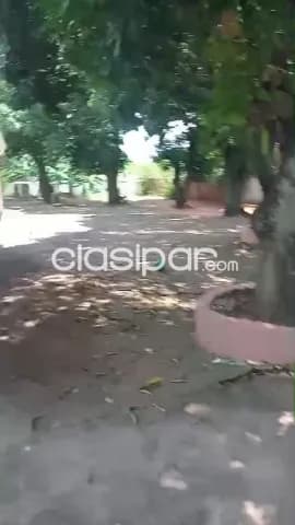 o, foto 3