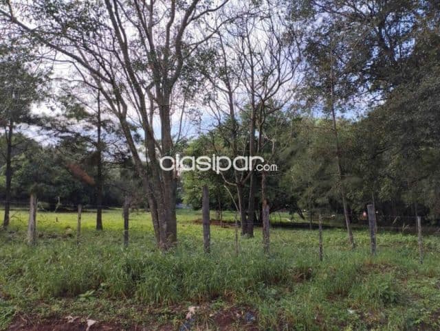 Terreno en Luque