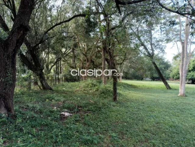 Terreno en Luque, foto 3
