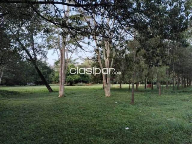 Terreno en Luque, foto 4