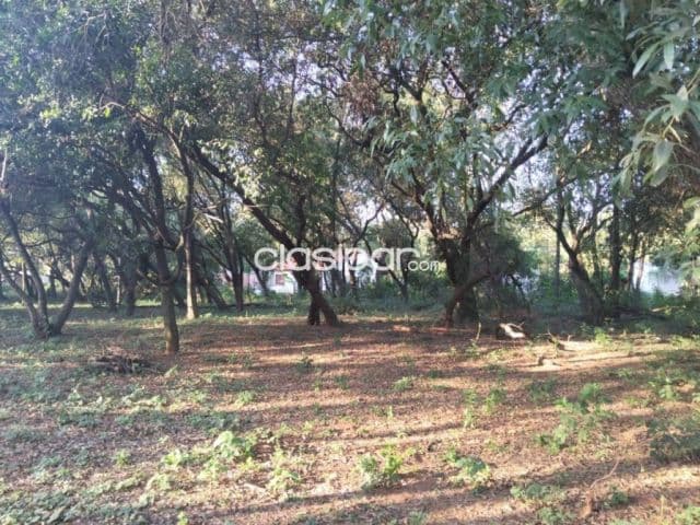 terreno de 2.960 m2 en Luque-Marambure-Yukyry, foto 1