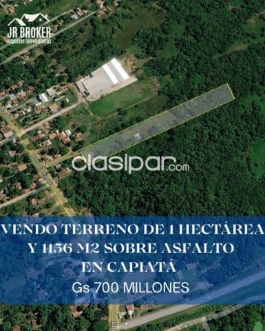 Terreno de 1 hectárea 1156 m2 sobre asfalto en Capiatá cod v0363