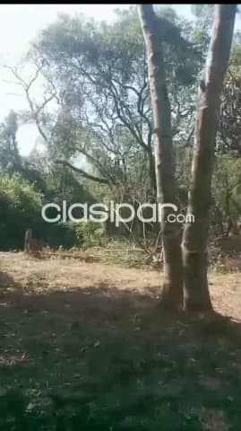 Terreno de 1 hectárea 1156 m2 sobre asfalto en Capiatá cod v0363, foto 3