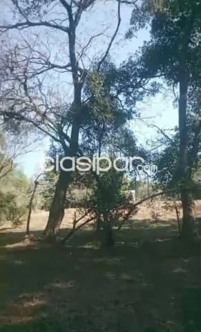 Terreno de 1 hectárea 1156 m2 sobre asfalto en Capiatá cod v0363, foto 4
