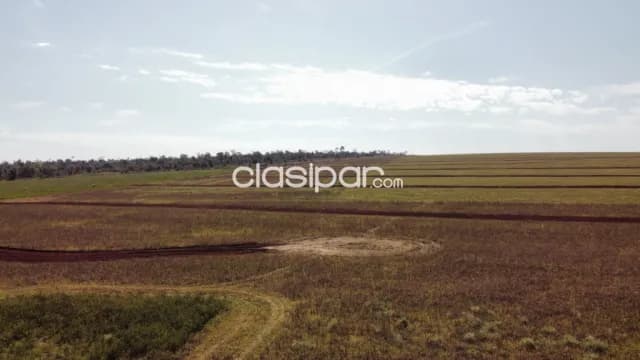 Campo en Curuguaty | 1.001 Ha Productivas | Desde Gs. 50 Millones/Ha, foto 2