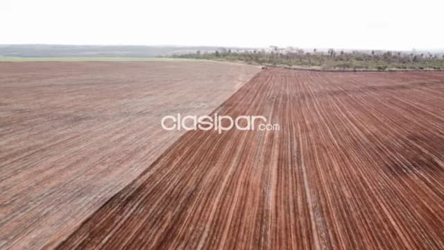 Campo en Curuguaty | 1.001 Ha Productivas | Desde Gs. 50 Millones/Ha, foto 4
