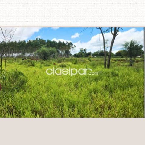 Caaguazú - venta de 4 lotes juntos sobre ruta 13, foto 1