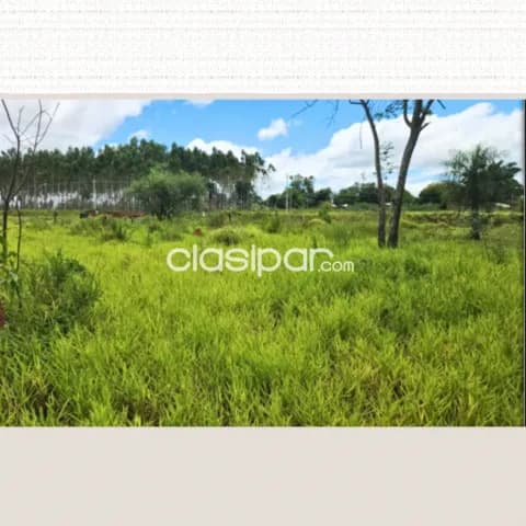 Caaguazú - venta de 4 lotes juntos sobre ruta 13, foto 2
