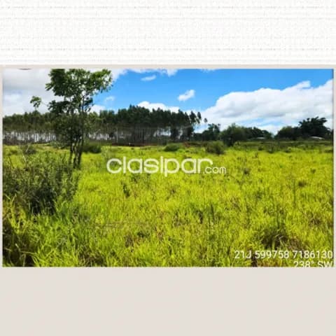 Caaguazú - venta de 4 lotes juntos sobre ruta 13, foto 5