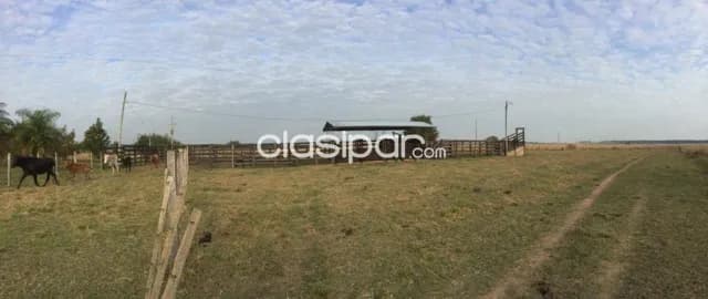 Campo En Ybycui 90 Ha Productivas Equipado Gs 40 Millonesha, foto 3