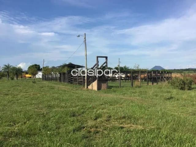 Campo En Ybycui 90 Ha Productivas Equipado Gs 40 Millonesha, foto 4