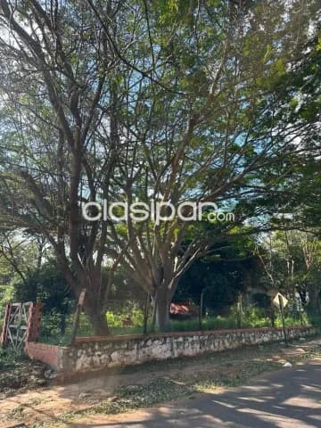 Importante propiedad sobre avda. Americo picco - Villa Elisa, foto 3