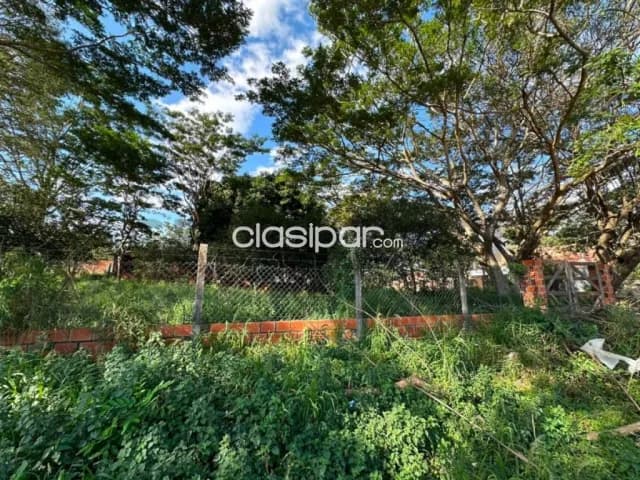 Importante propiedad sobre avda. Americo picco - Villa Elisa, foto 4