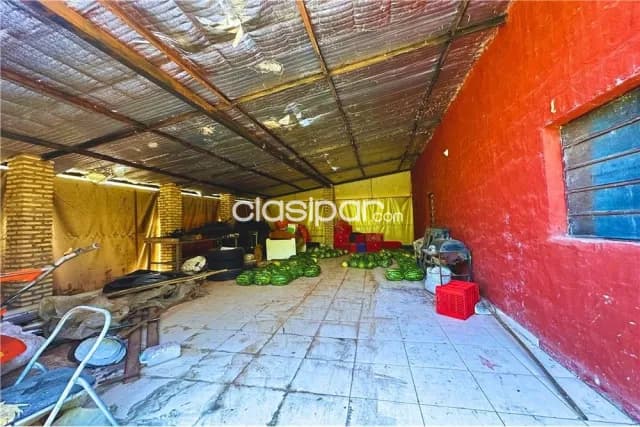 Finca Rural Agrícola en Nueva Colombia con Explotación Hortícola de 13 hectáreas, foto 3