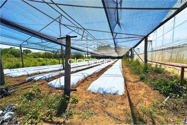 Finca Rural Agrícola en Nueva Colombia con Explotación Hortícola de 13 hectáreas, foto 4