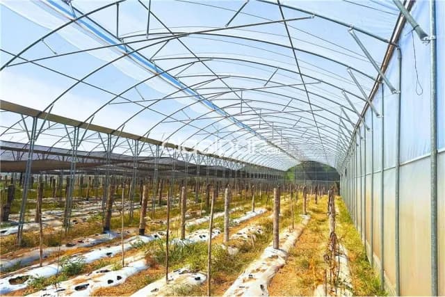 Finca Rural Agrícola en Nueva Colombia con Explotación Hortícola de 13 hectáreas, foto 5