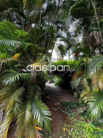 Casa en asuncion en ycua sati - barrio Herrera, foto 5