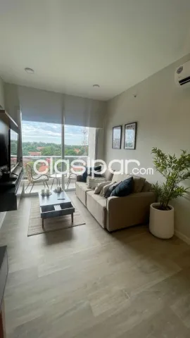 Departamento amoblado 1 dormitorio sobre avda molas lópez, foto 3