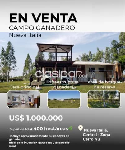 Nueva italia, central: 400 has en venta + ganado, alto potencial productivo, 1.000.000 usd, foto 2