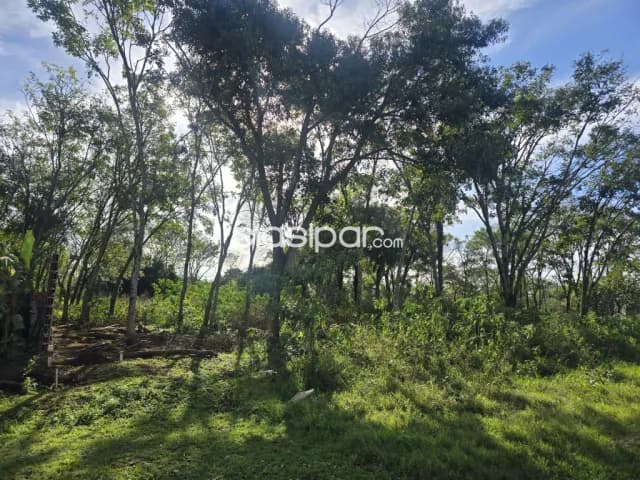 🌳 ¡terreno en venta en Encarnación!, foto 3