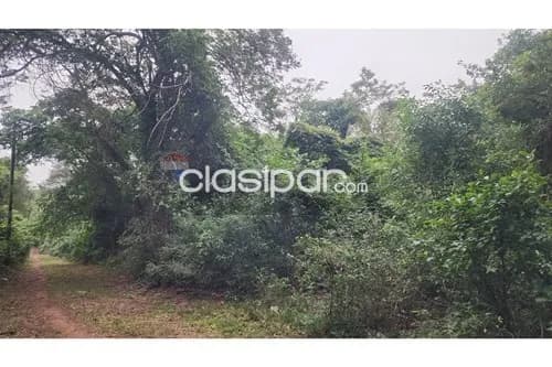 Terreno en Venta en Central Ypacaraí, foto 2