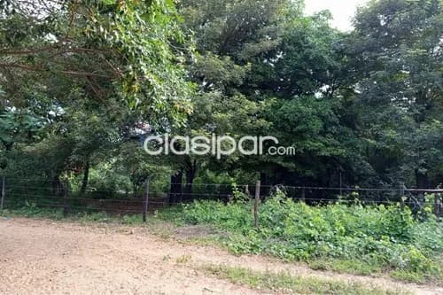 Terreno en Venta en Central Ypacaraí Pedrozo Ignacio Lenguaza Ruta Pirayu, foto 4