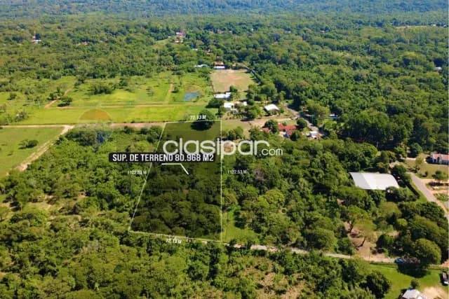 Terreno de 80.968 m2 ideal para loteamiento en San Bernardino, foto 3