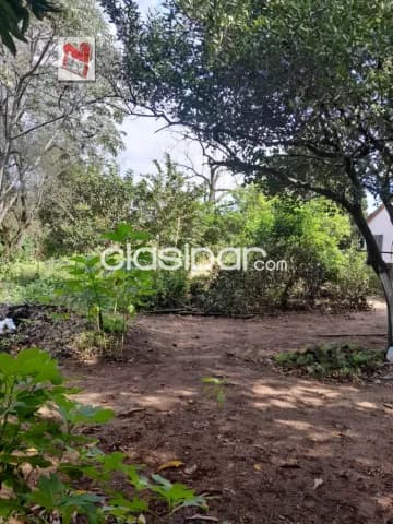 Terreno en barrio pai ñu – Ñemby, foto 5