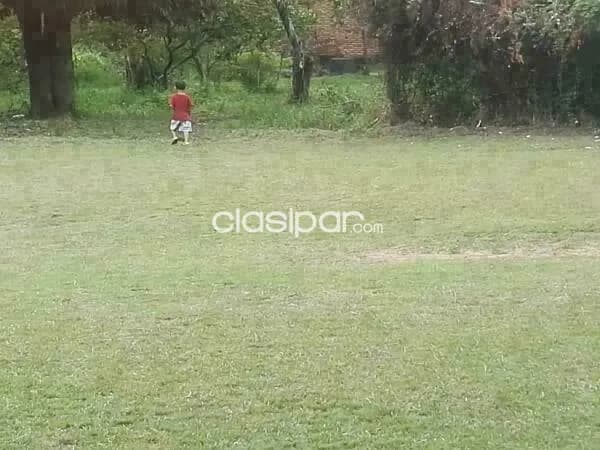 hermoso terreno en Luque, foto 4