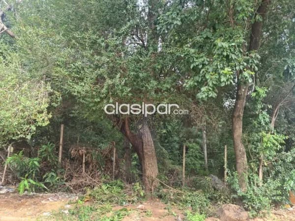 Terreno en Luque jhugua de seda, foto 3