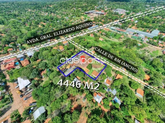 Terreno de 4446 m2 en limpio ruta gral elizardo aquino, foto 5