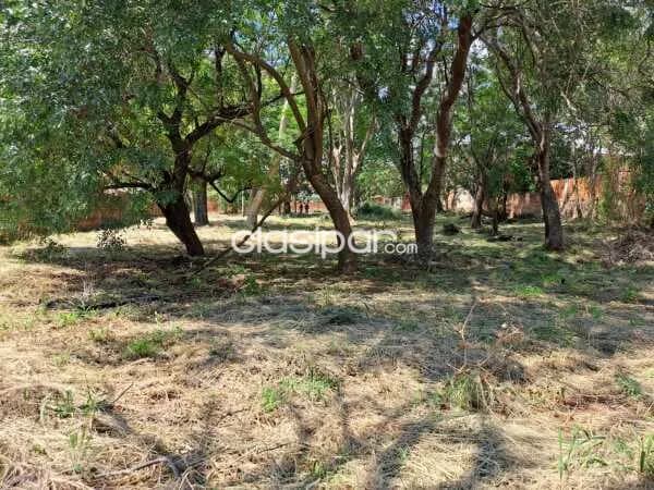 Terreno en venta en Villa Elisa 3902 m2, foto 5