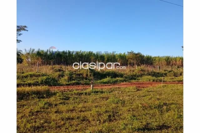4 hectareas en pirayú con granja avicola, foto 5